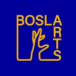 boslaarts profile picture