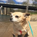 bosleytheblonde profile picture