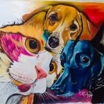 bos_nena.twix profile picture