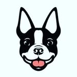 boston_terrier_klub profile picture