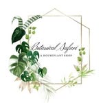 botanicalsafari profile picture