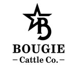 bougiecattleco profile picture