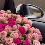 boutique_lmlr profile picture