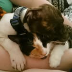 bowenbabies profile picture