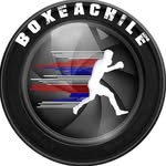 boxeachile profile picture