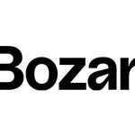bozarbrussels profile picture