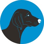 braco.specialtycoffee profile picture