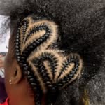 braidseyeview profile picture
