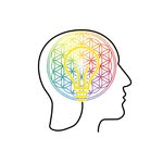 brainbandwidth profile picture