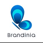 brandinia_official profile picture