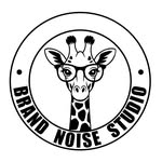 brandnoisestudio profile picture