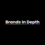 brandsindepth profile picture