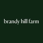 brandyhillfarm profile picture