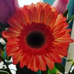 brandyma82 profile picture