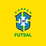 brasil_futsal profile picture
