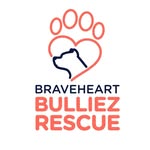 braveheartbulliezrescue profile picture
