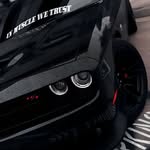 brave_hollix profile picture
