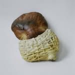 bread_on_earth profile picture