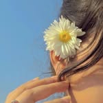 breathdays profile picture
