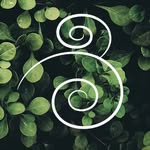 breathemovementstudio profile picture