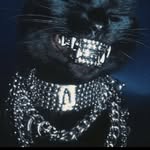 breave_.__ profile picture