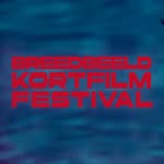 breedbeeldkortfilmfestival profile picture
