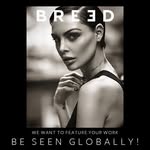 breedfix profile picture
