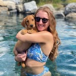 brehamm profile picture