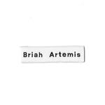 briahartemis profile picture