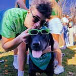 brian.castle33 profile picture