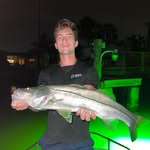 brianmagenheimer profile picture