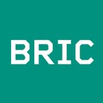 bricbrooklyn profile picture
