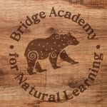 bridgeacademy.us profile picture