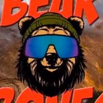 bridgerunners profile picture