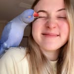 bridgetchant profile picture