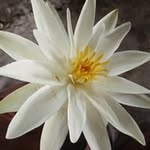 brijkishor48817 profile picture