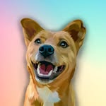 brisbane_the_rescue profile picture