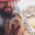 brisort profile picture