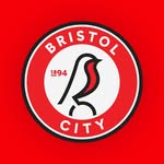 bristolcitywomensfc profile picture
