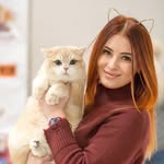 british_kitten_galeksy profile picture