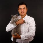 british_sweets_cattery profile picture