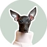 brittatheiggy profile picture