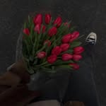 brlrqz profile picture