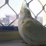 brock_wadd profile picture
