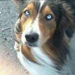 brodysbestmoments profile picture