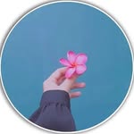 brokenquotes.in profile picture