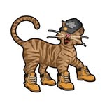 bronxcommunitycats profile picture
