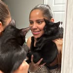 bronxstraycats profile picture