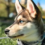 bronxythekid profile picture