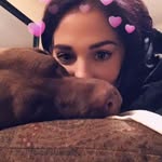 brookebonic profile picture